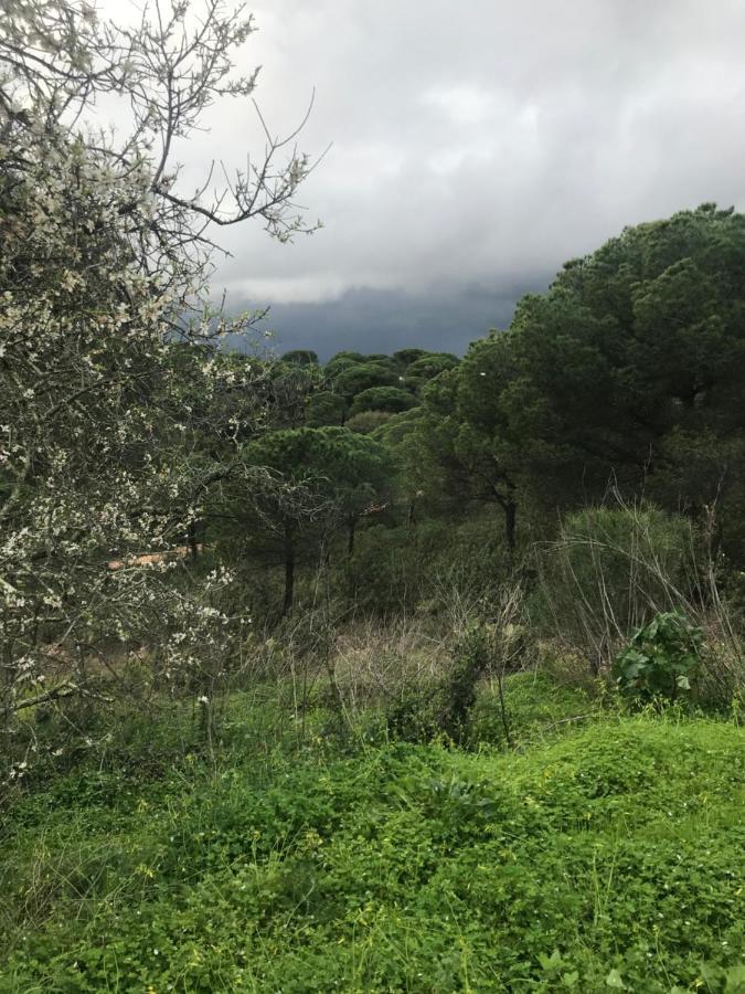 Finca Rustica Los Borrachos Aiamonte Exterior foto